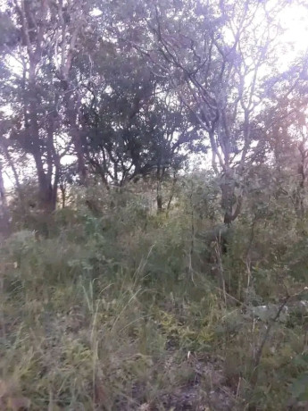 10-hectares-of-land-for-sale-in-kapiri-big-4