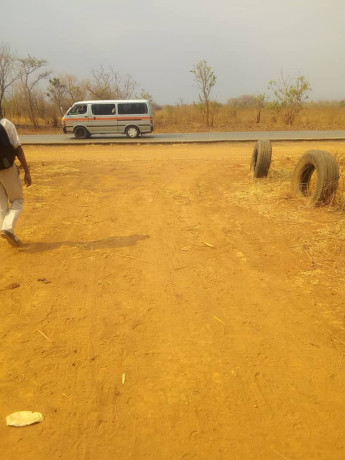 land-with-houses-and-piggery-structure-for-sale-big-2