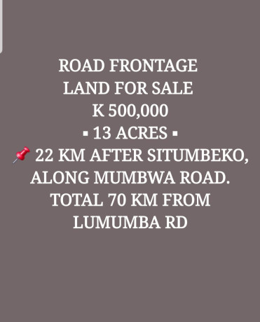 land-with-houses-and-piggery-structure-for-sale-big-6