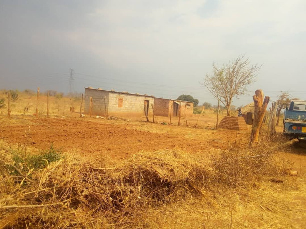 land-with-houses-and-piggery-structure-for-sale-big-7