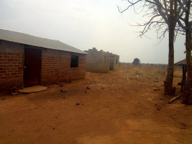 land-with-houses-and-piggery-structure-for-sale-big-4