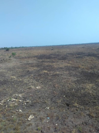 large-property-for-sale-in-situmbeko-big-2