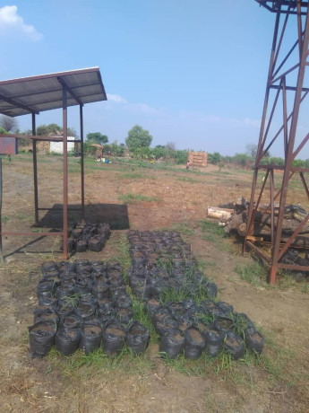 112-hectares-land-in-shibuyunji-big-1