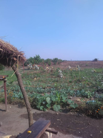 112-hectares-land-in-shibuyunji-big-3