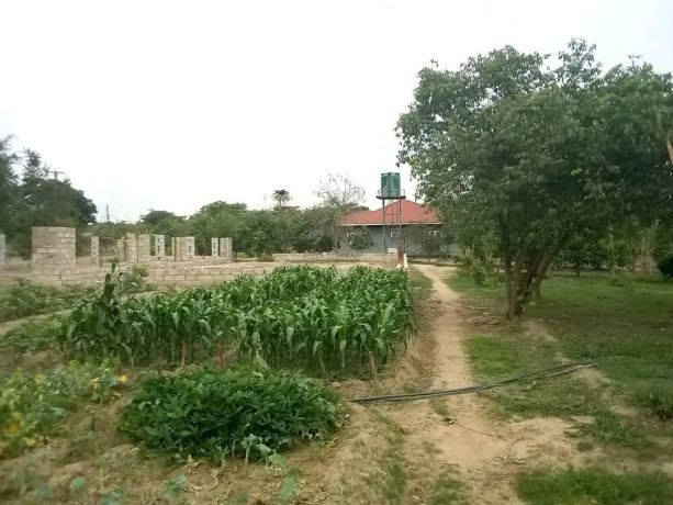 developed-property-for-sale-near-mt-meru-big-6