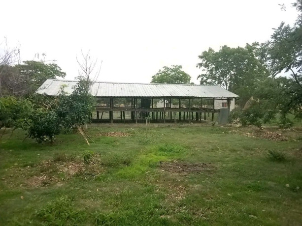 developed-property-for-sale-near-mt-meru-big-7