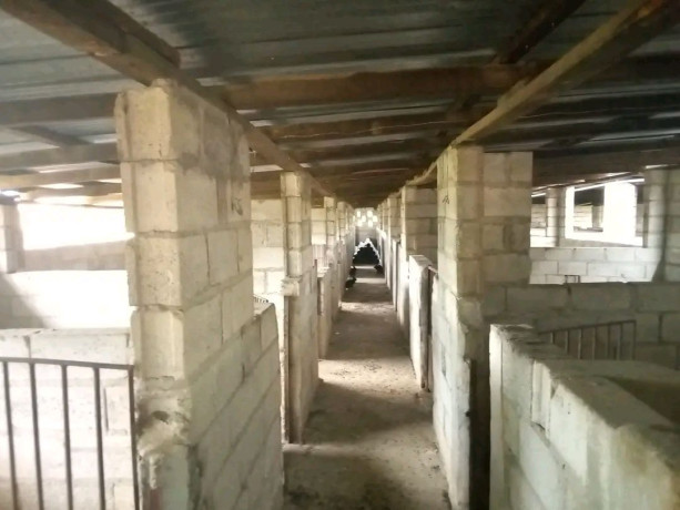 developed-property-for-sale-near-mt-meru-big-2