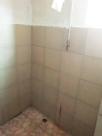 one-bedroom-flat-in-libala-south-big-0