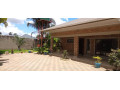 executive-three-bedroom-house-for-rent-in-avondale-small-7