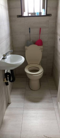 executive-three-bedroom-house-for-rent-in-avondale-big-5