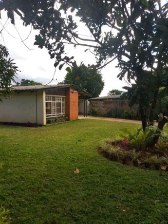 new-avondale-three-bedroom-house-for-rent-big-2