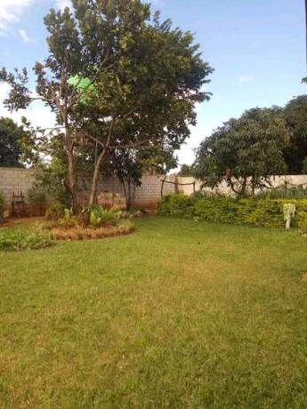 new-avondale-three-bedroom-house-for-rent-big-3