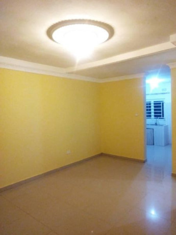 modern-2-bedroom-flat-in-chelston-palm-drive-big-2