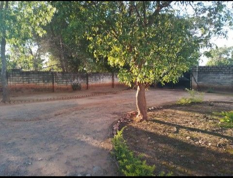 ideal-commercial-property-in-avondale-big-5