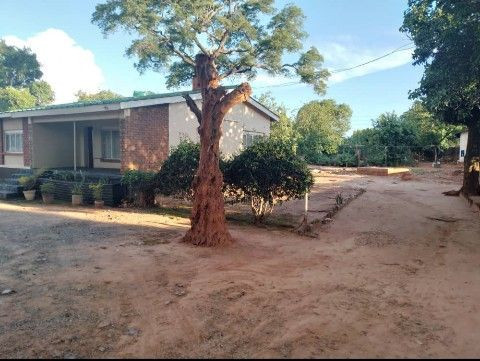 ideal-commercial-property-in-avondale-big-3