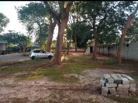 ideal-commercial-property-in-avondale-big-1