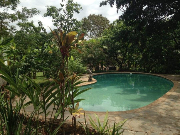 four-bedroom-stand-alone-home-with-beautiful-garden-and-swimming-pool-big-0