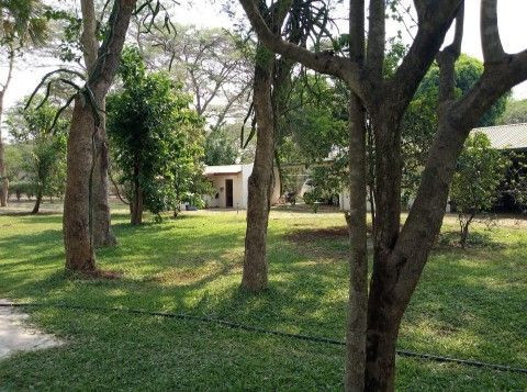 56-acres-for-sale-in-eureka-big-0