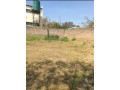 olympia-property-for-sale-small-0
