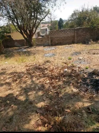 olympia-property-for-sale-big-2