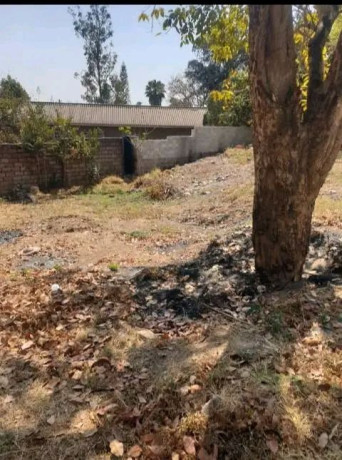 olympia-property-for-sale-big-3