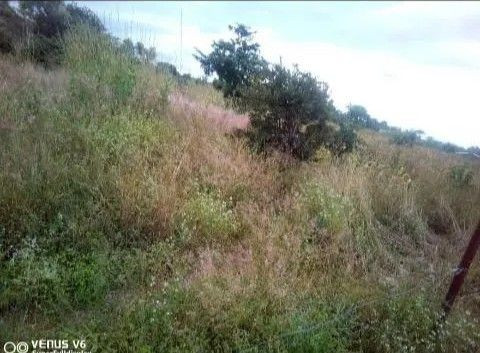 makeni-property-for-sale-big-6