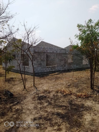 plot-for-living-and-small-scale-farming-big-4