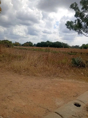 residential-plots-for-sale-in-makeni-konga-big-2