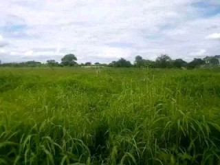 115-hectares-with-stream-lusaka-west