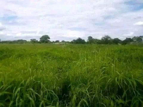 115-hectares-with-stream-lusaka-west-big-0