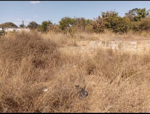 residential-plot-for-sale-in-libala-south-big-1