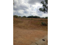 residential-plots-for-sale-in-makeni-konga-small-3