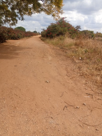 residential-plots-for-sale-in-makeni-konga-big-2