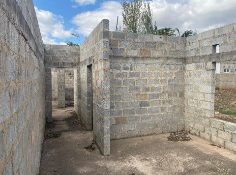 makeni-mimosa-plots-big-1