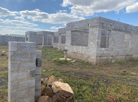 makeni-mimosa-plots-big-0