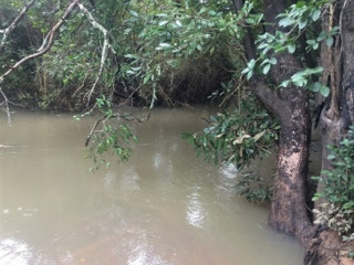 230-hectares-of-virgin-land-in-kapiri-mposhi