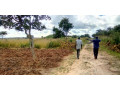 land-for-sale-in-katuba-small-3