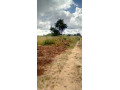 land-for-sale-in-katuba-small-2
