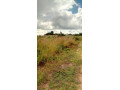 land-for-sale-in-katuba-small-4