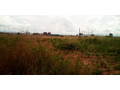 land-for-sale-in-katuba-small-5