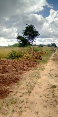 land-for-sale-in-katuba-big-2