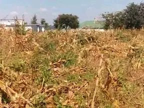 residential-plot-for-sale-in-libala-south