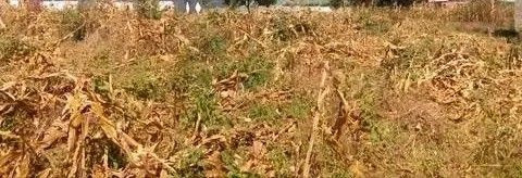 quick-sale-ibex-plot-big-0