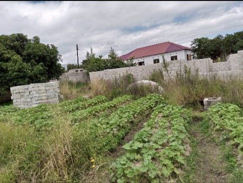 plot-for-quick-sale-big-1