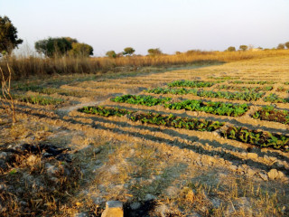 lakefront-property-with-lodge-potential