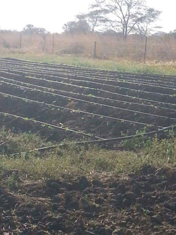 ten-acre-farm-in-mwembeshi-with-borehole-big-0