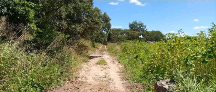 plot-for-sale-in-ibex-hill-big-3