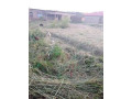 3040-plot-for-sale-in-kafue-east-small-2