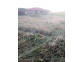 3040-plot-for-sale-in-kafue-east-small-0