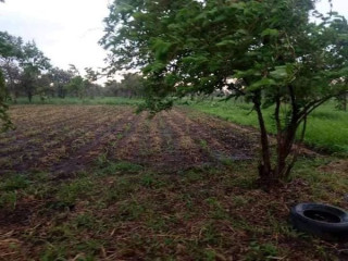 21-hectares-farm-for-sale-in-lusaka-west